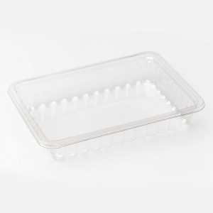 Rectangular Small Biscuit Clear