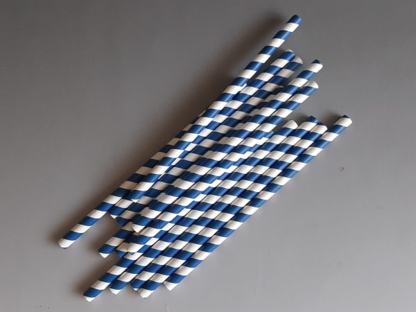 Paper Straw Wrapped Blue